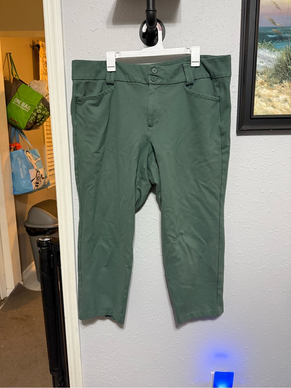 Women’s torrid studio trouser pant sage green 22 short